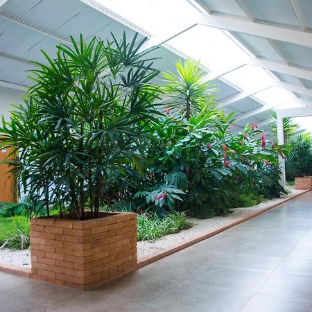 Hotel Vila Verde Penapolis ภายนอก รูปภาพ